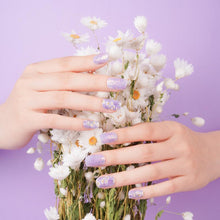 Load image into Gallery viewer, Purple Daisies
